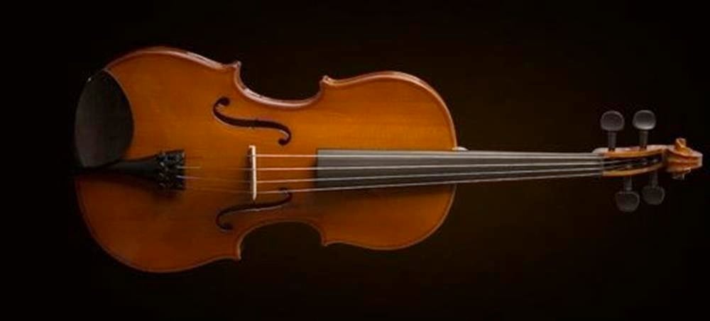 VİOLA KUTULU 15''(38cm)